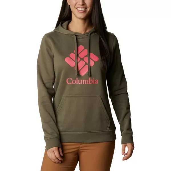 imageColumbia Womens Trek Graphic HoodieStone GreenStacked Gem