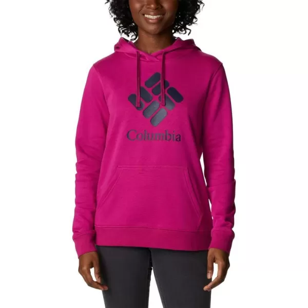imageColumbia Womens Trek Graphic HoodieWild FuchsiaStacked Gem