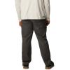 imageColumbia Mens Rapid Rivers Big ampamp Tall PantShark