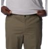 imageColumbia Mens Rapid Rivers Big ampamp Tall PantStone Green