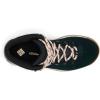 imageColumbia Womens Newton Ridge Plus Waterproof Amped Hiking BootBlackBlush Rose