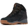 imageColumbia Mens Newton Ridge Bc Nb Hiking BootBlackCanyon Sun
