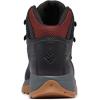 imageColumbia Mens Newton Ridge Bc Nb Hiking BootBlackCanyon Sun
