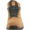 imageColumbia Mens Newton Ridge Plus II Suede Waterproof Hiking BootCurryAegean Blue