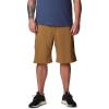 imageColumbia Mens Silver Ridge Utility Cargo ShortStone Green