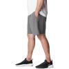 imageColumbia Mens Hike ShortCity Grey