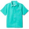 Electric Turquoise