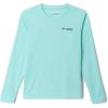 Gulf Stream/Pfg Fins & Stripes Tarpon
