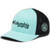 Gulf Stream/Black