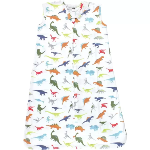 Multicolor Dinosaurs 0-6 Months