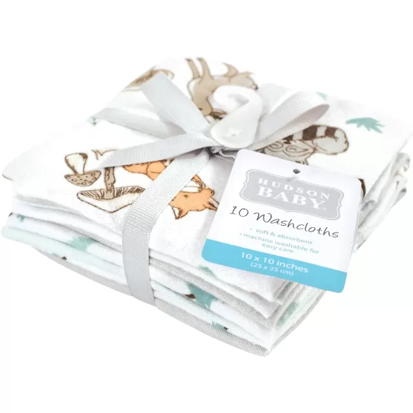 Hudson Baby Unisex Baby Flannel Washcloths, Eucalyptus 10Pk, One Size