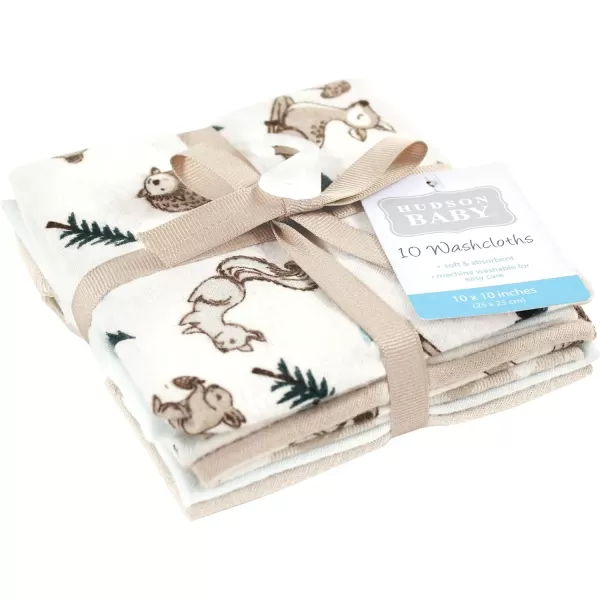 Hudson Baby Unisex Baby Flannel Washcloths, Eucalyptus 10Pk, One Size