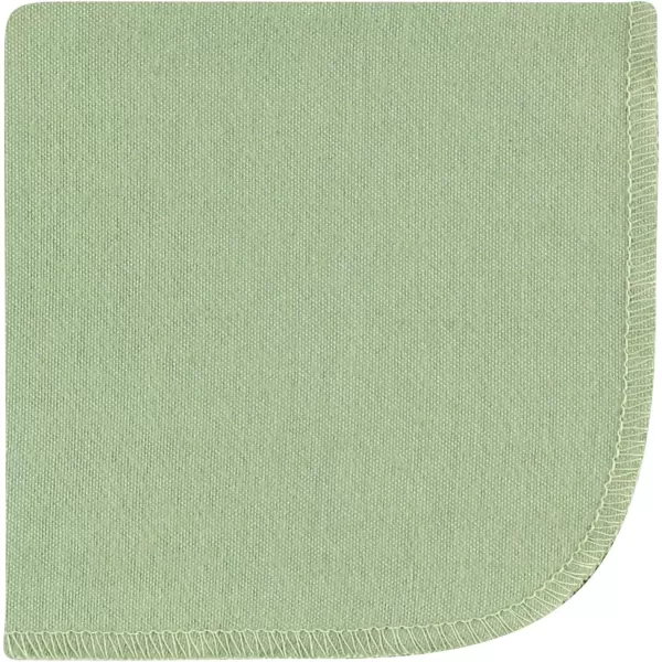 Hudson Baby Unisex Baby Flannel Washcloths, Eucalyptus 10Pk, One Size