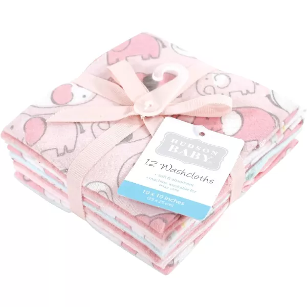 Hudson Baby Unisex Baby Flannel Washcloths, Eucalyptus 10Pk, One Size