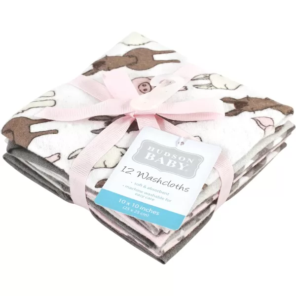 Hudson Baby Unisex Baby Flannel Washcloths, Eucalyptus 10Pk, One Size