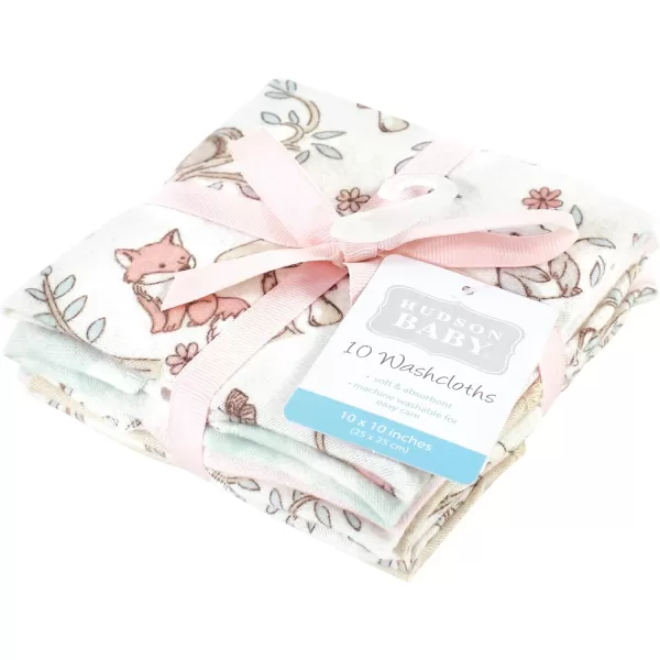 Hudson Baby Unisex Baby Flannel Washcloths, Eucalyptus 10Pk, One Size