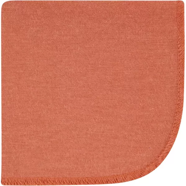 Hudson Baby Unisex Baby Flannel Washcloths, Eucalyptus 10Pk, One Size