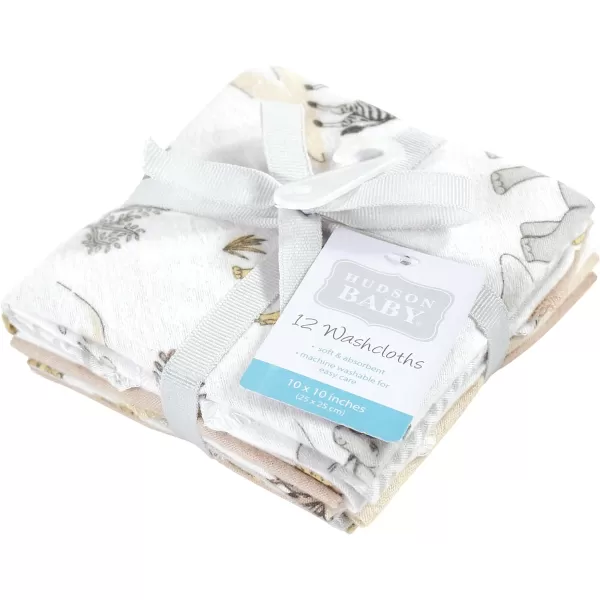 Hudson Baby Unisex Baby Flannel Washcloths, Eucalyptus 10Pk, One Size