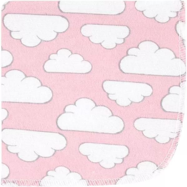 Hudson Baby Unisex Baby Flannel Washcloths, Eucalyptus 10Pk, One Size