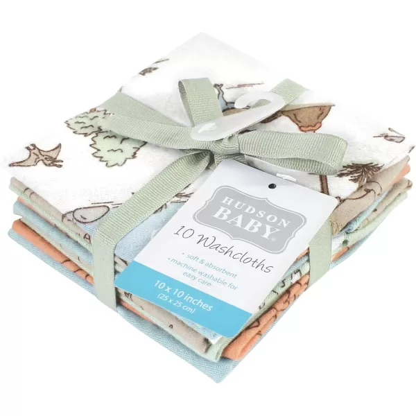 Hudson Baby Unisex Baby Flannel Washcloths, Eucalyptus 10Pk, One Size