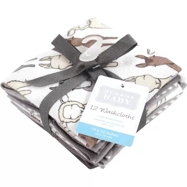 Hudson Baby Unisex Baby Flannel Washcloths, Eucalyptus 10Pk, One Size