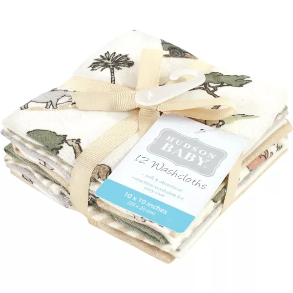 Hudson Baby Unisex Baby Flannel Washcloths, Eucalyptus 10Pk, One Size