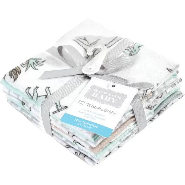 Hudson Baby Unisex Baby Flannel Washcloths, Eucalyptus 10Pk, One Size