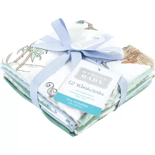 Hudson Baby Unisex Baby Flannel Washcloths, Eucalyptus 10Pk, One Size