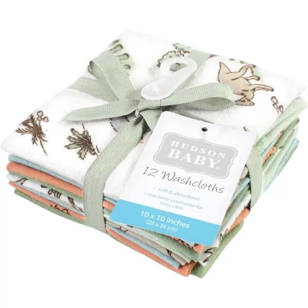 Hudson Baby Unisex Baby Flannel Washcloths, Eucalyptus 10Pk, One Size
