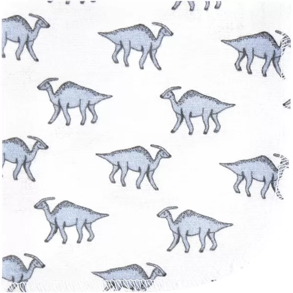 Hudson Baby Unisex Baby Flannel Washcloths, Eucalyptus 10Pk, One Size