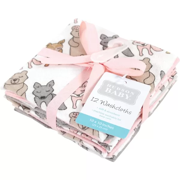 Hudson Baby Unisex Baby Flannel Washcloths, Eucalyptus 10Pk, One Size