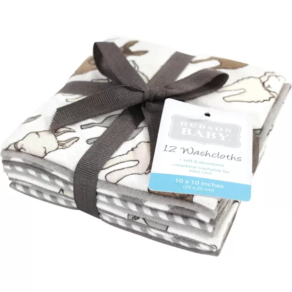 Hudson Baby Unisex Baby Flannel Washcloths, Eucalyptus 10Pk, One Size