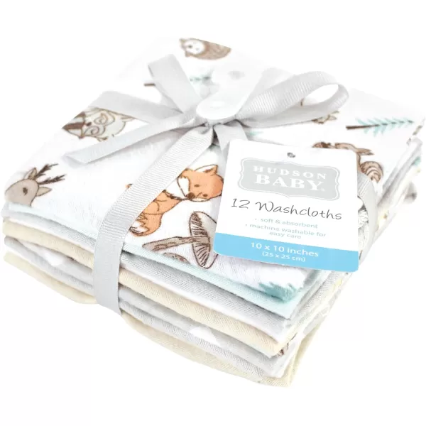 Hudson Baby Unisex Baby Flannel Washcloths, Eucalyptus 10Pk, One Size