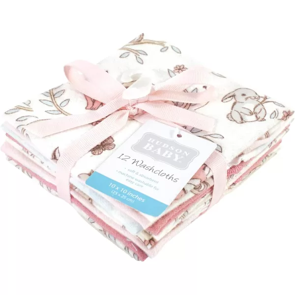 Hudson Baby Unisex Baby Flannel Washcloths, Eucalyptus 10Pk, One Size