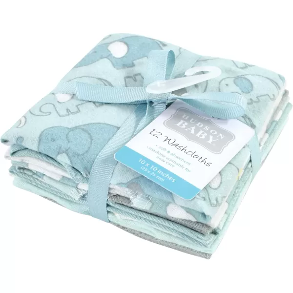 Hudson Baby Unisex Baby Flannel Washcloths, Eucalyptus 10Pk, One Size