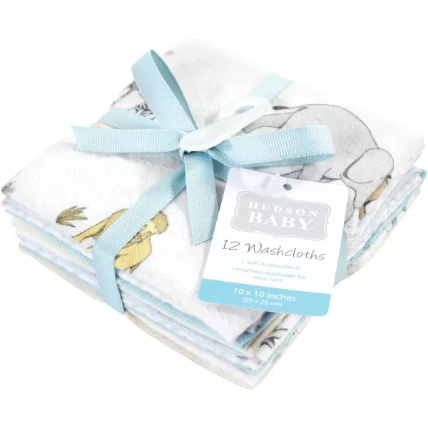 Hudson Baby Unisex Baby Flannel Washcloths, Eucalyptus 10Pk, One Size