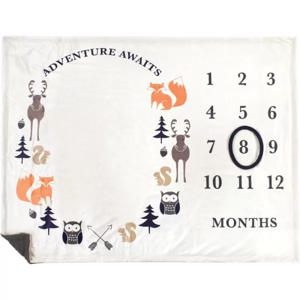 Hudson Baby Unisex Baby Plush Holiday and Milestone Blanket, Red Black Plaid, One Size