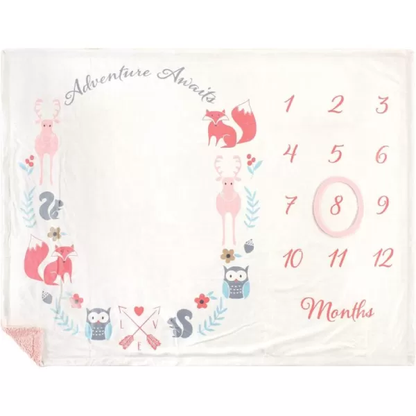 Hudson Baby Unisex Baby Plush Holiday and Milestone Blanket, Red Black Plaid, One Size