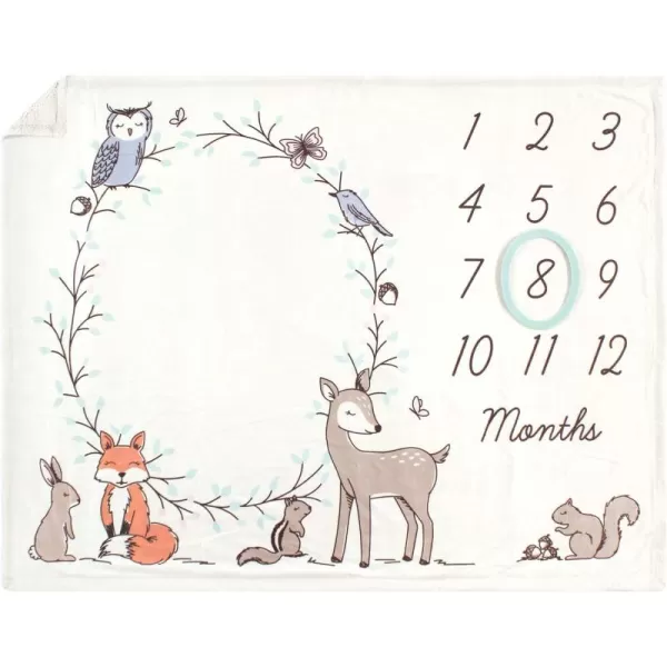 Hudson Baby Unisex Baby Plush Holiday and Milestone Blanket, Red Black Plaid, One Size