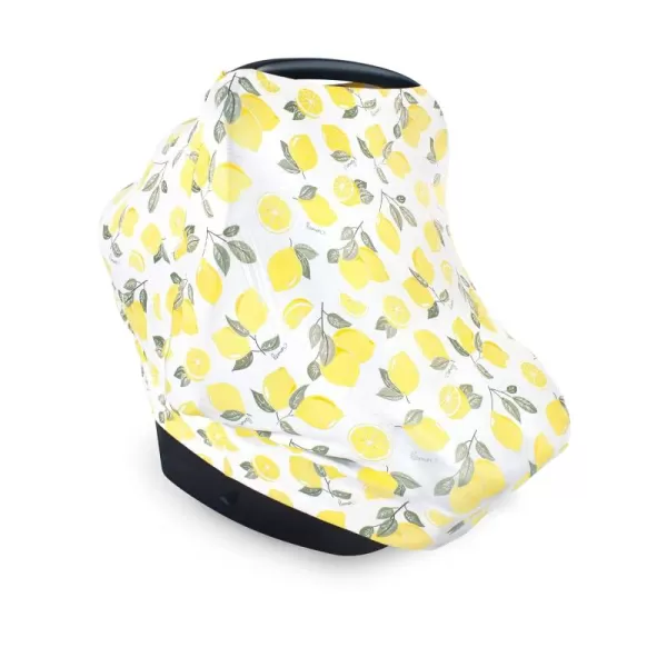 Hudson Baby Unisex Baby Multi-use Car Seat Canopy, Roses, One Size