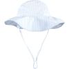 Blue White Stripe