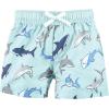 imageHudson Baby Unisex Baby Swim Rashguard SetLooking Sharp Shark