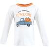 imageHudson Baby Baby Long Sleeve TShirtsFall Activities