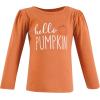 imageHudson Baby Baby Long Sleeve TShirtsFall Pumpkin Spice