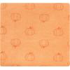 imageHudson Baby Unisex Baby Cotton Flannel Receiving Blankets Bundle Mustache Hat One SizePumpkin Spice