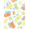 imageHudson Baby Unisex Baby Flannel Burp Cloth 12pk Fun Desert One SizeCitrus Mint