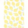 imageHudson Baby Unisex Baby Flannel Burp Cloth 12pk Fun Desert One SizeLemon Daisy