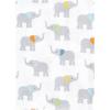 imageHudson Baby Unisex Baby Flannel Burp Cloth 12pk Fun Desert One SizeTeal Elephant