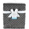 imageHudson Baby Unisex Baby Plush Mink Blanket Powder Blue One SizeCharcoal