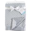 imageHudson Baby Unisex Baby Plush Mink Blanket Powder Blue One SizeGray